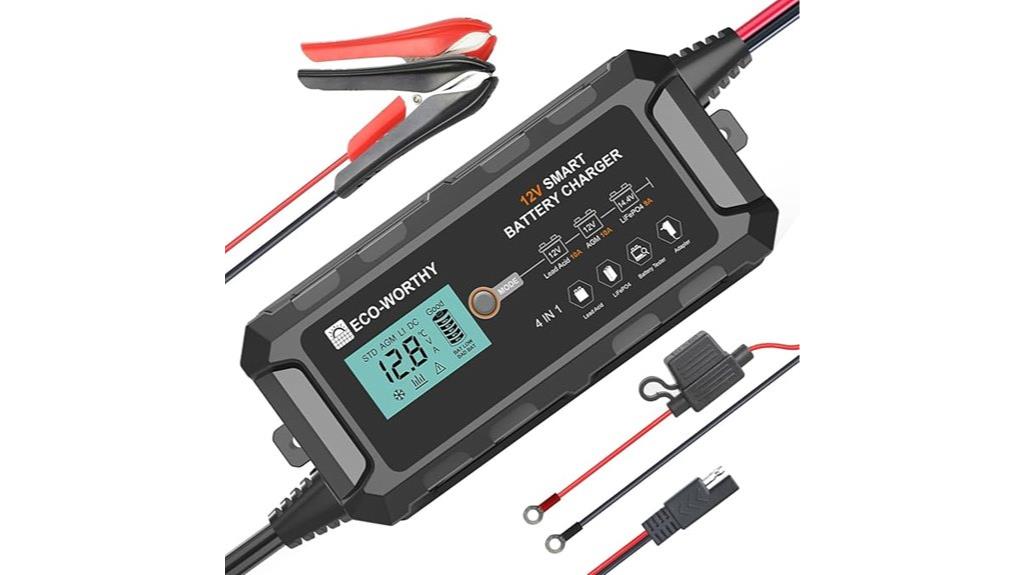 10a lifepo4 charger