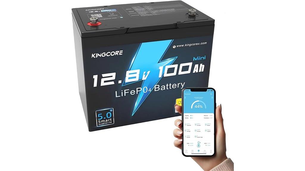 12v 100ah battery