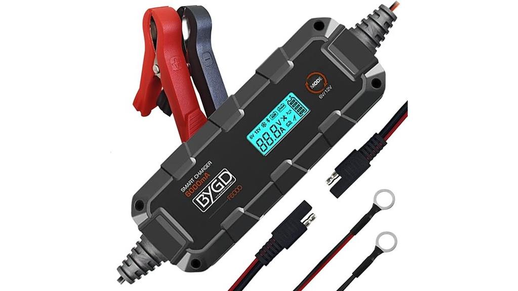 6 volt and 12 volt charger