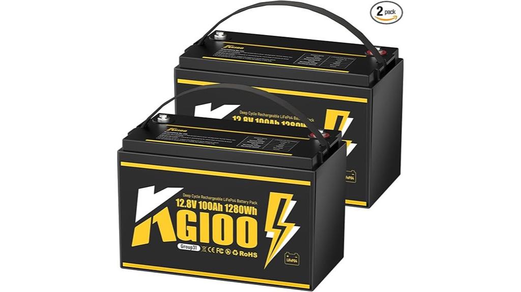 dual 12v 100ah batteries