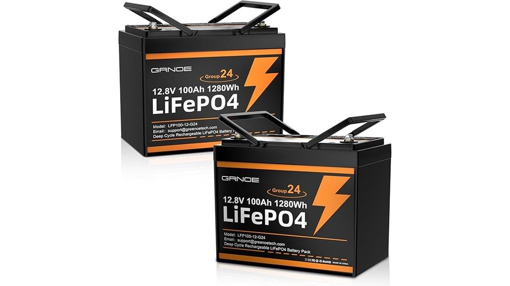 dual 12v 100ah batteries