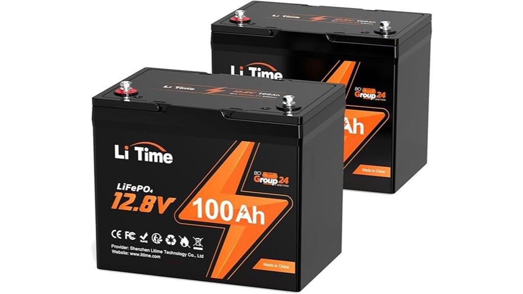 dual 12v 100ah batteries