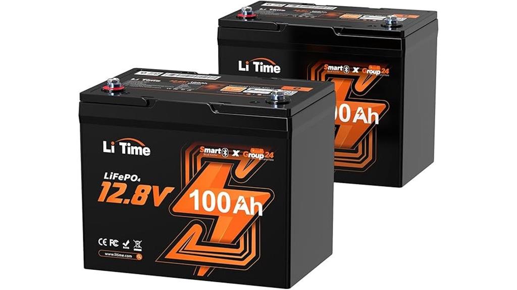 litime 12v 100ah batteries