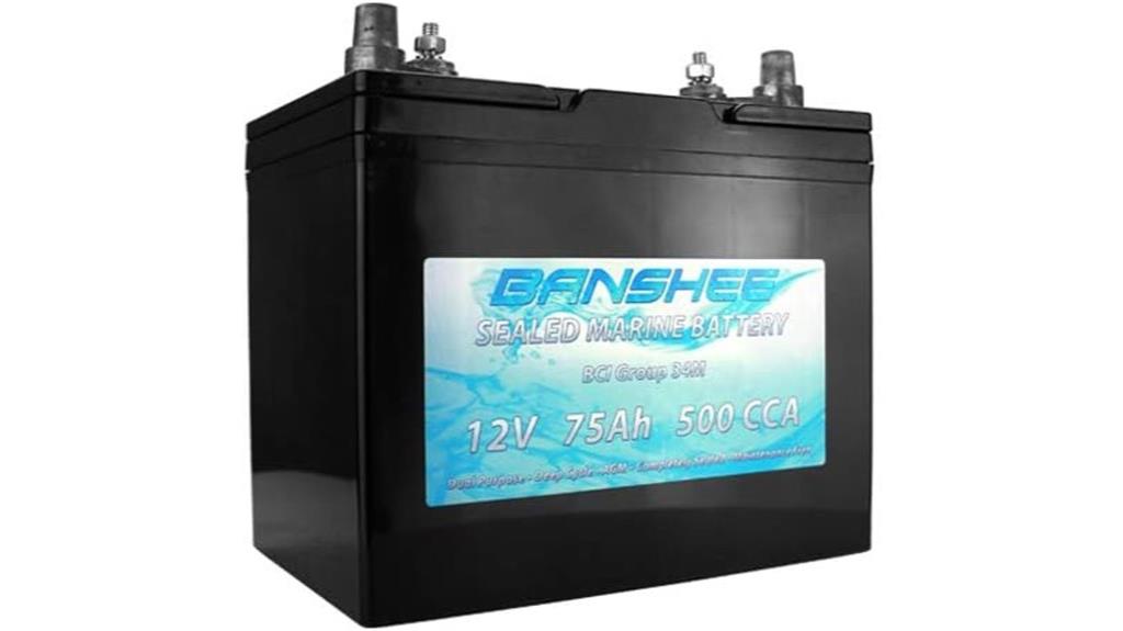 marine agm dual battery