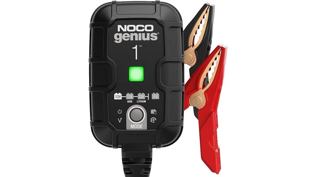 smart 6v 12v battery charger