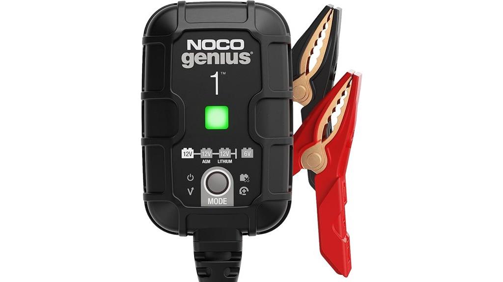 smart 6v 12v charger