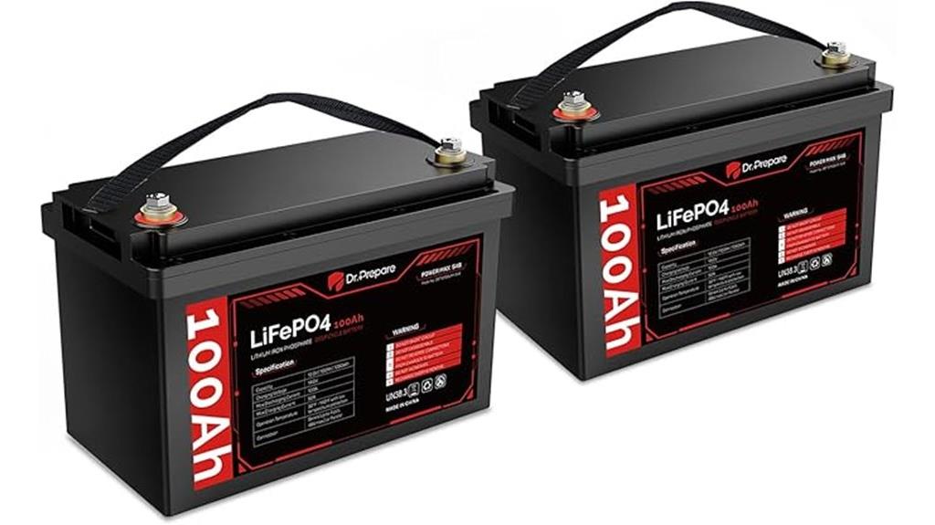 twelve volt 100ah batteries