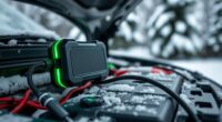 winter car battery chargers