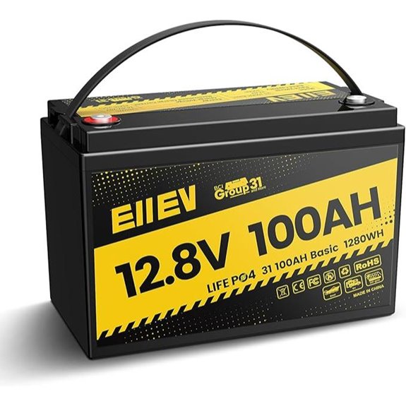 12V 100Ah Lithium Iron Phosphate Battery