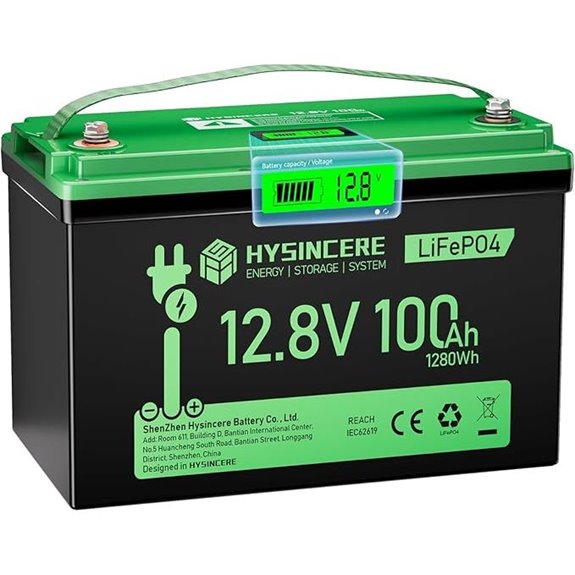 12V 100Ah LiFePO4 Deep Cycle Battery with BMS