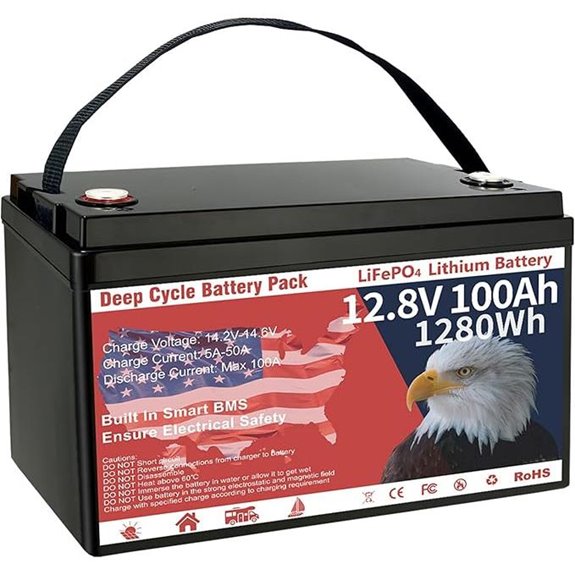 12V 100Ah LiFePO4 Lithium Battery with BMS