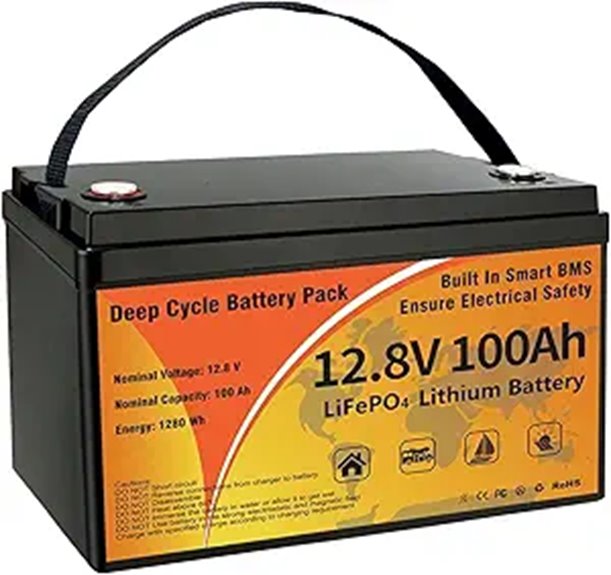 12V 100Ah LiFePO4 Lithium Battery with BMS