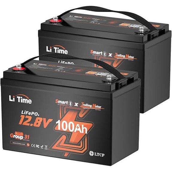 Litime 12V 100Ah LiFePO4 Battery (2-Pack)