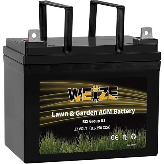 WEIZE 12V AGM Battery for Lawn & Garden Equipment