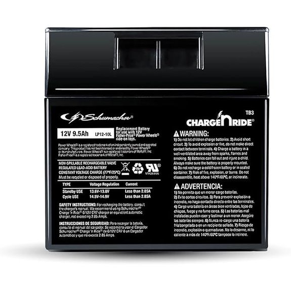 Schumacher 12V Battery for Ride-On Toys