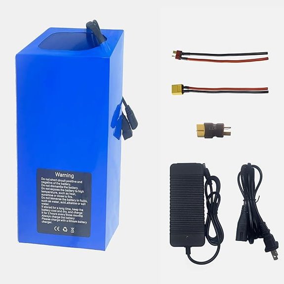 36V 8Ah Battery with BMS for Electric Vehicles