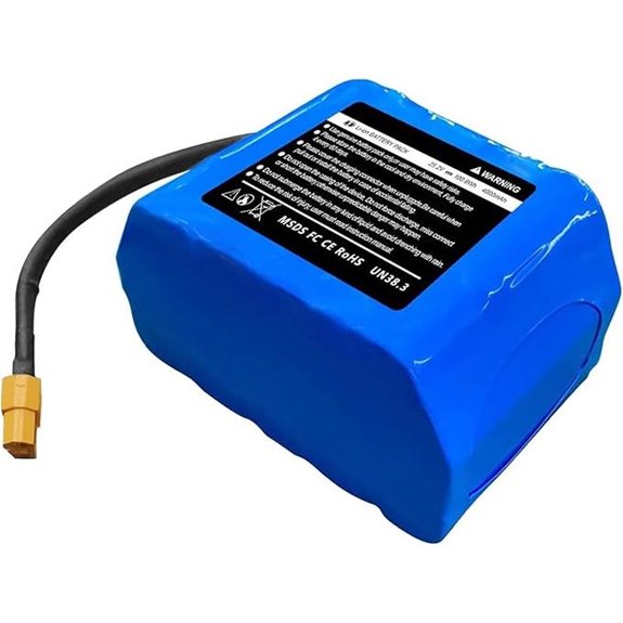 Lithium-ion Hoverboard Battery with BMS for Jetson Hover-1