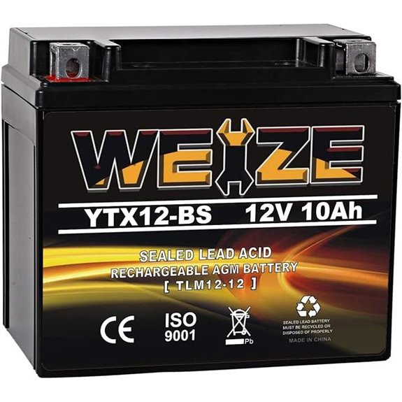 Weize YTX12-BS Motorcycle AGM Battery (Maintenance-Free)