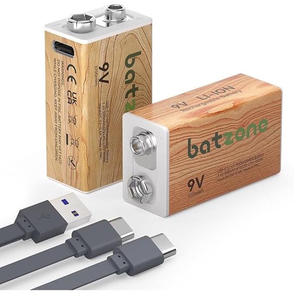 Rechargeable 9V Lithium Batteries with USB-C Charger (2 Pack)