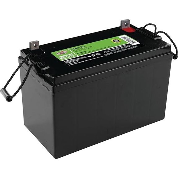 Interstate 12V 100Ah Deep Cycle Battery for RVs