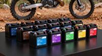 top electric bike battery reviews