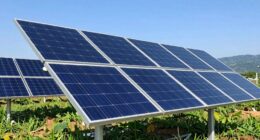 top 6 300w rigid solar panels