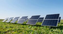 top 7 300w flexible panels