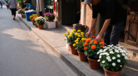 Quiet People Beautify Hanoi Streets To Celebrate National Day 2.9 - Laodong.vn